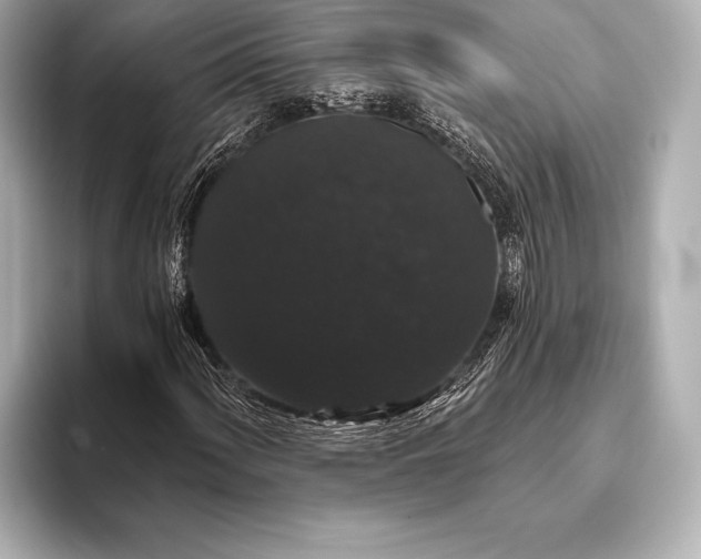 X0000093401060200710260912