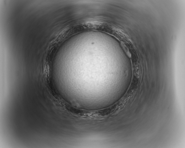 X0000093401061200710260912