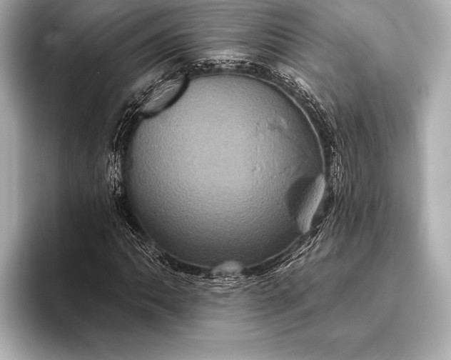 X0000093401062200710260912