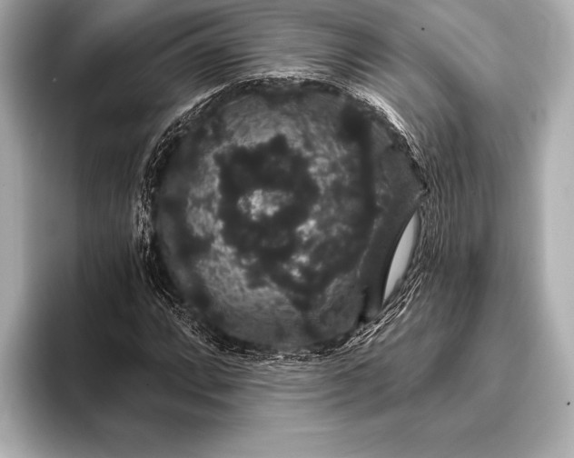 X0000093401064200710260912