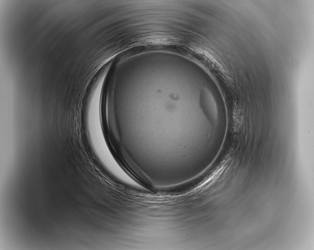 X0000093401065200710260912