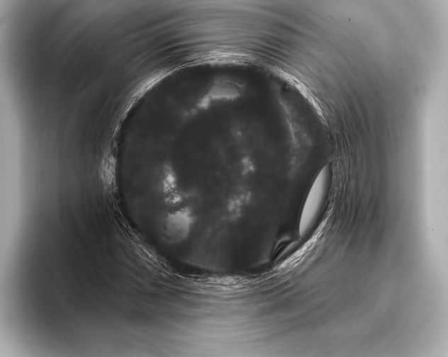 X0000093401066200710260912