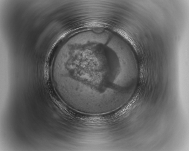 X0000093401067200710260912