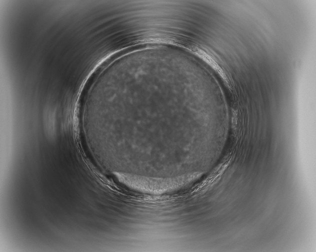 X0000093401068200710260912