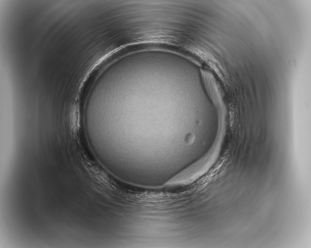 X0000093401069200710260912