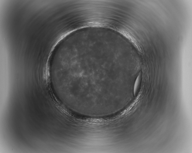 X0000093401070200710260912