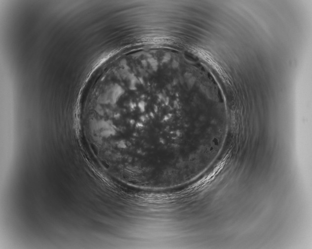 X0000093401071200710260912