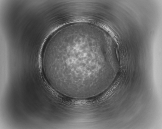 X0000093401072200710260912