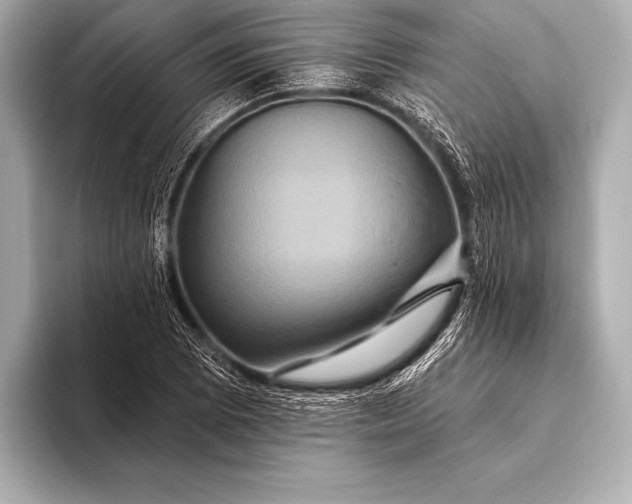 X0000093401073200710260912