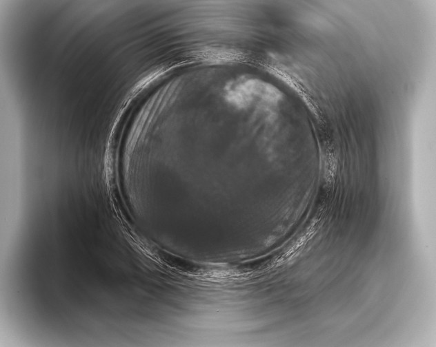 X0000093401074200710260912