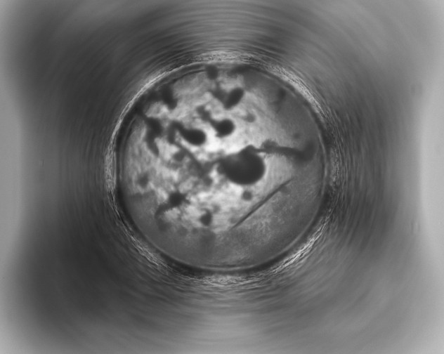 X0000093401075200710260912