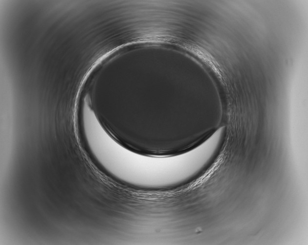 X0000093401077200710260912