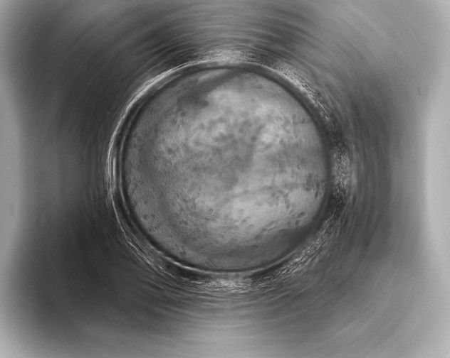 X0000093401078200710260912