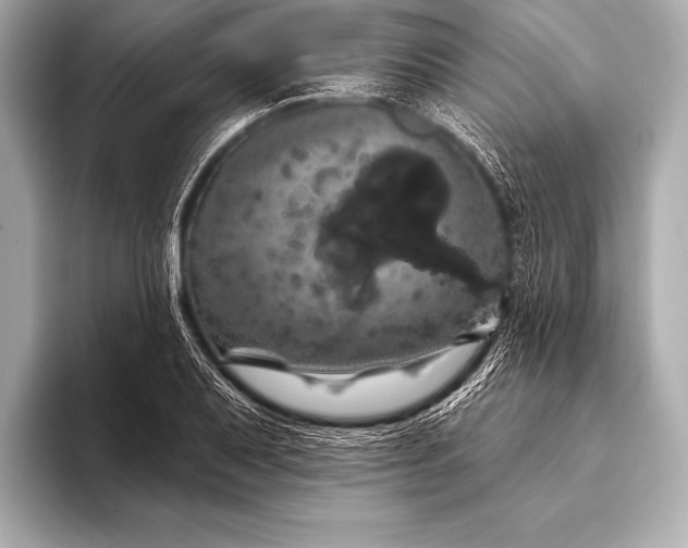 X0000093401079200710260912