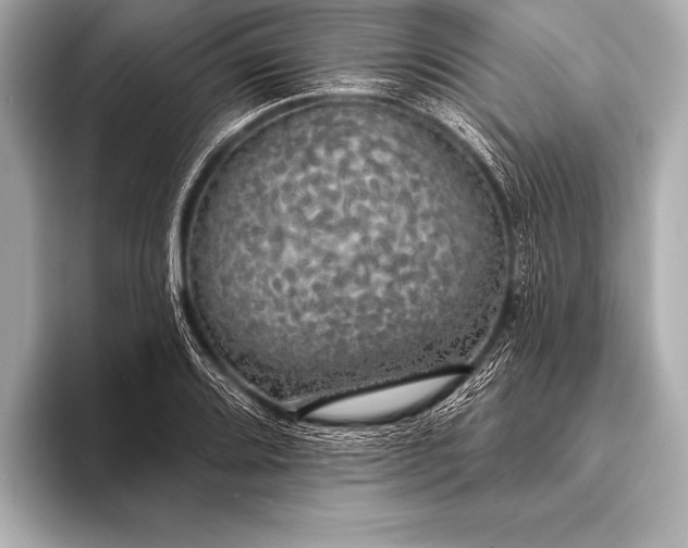 X0000093401080200710260912