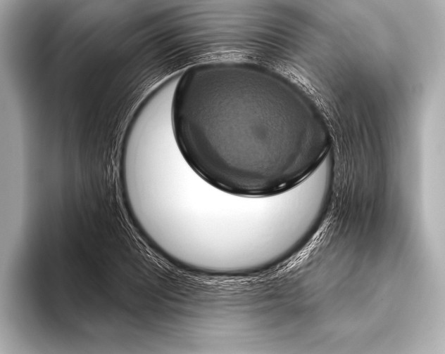 X0000093401081200710260912