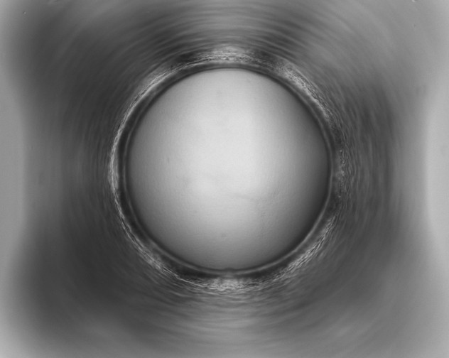 X0000093401082200710260912