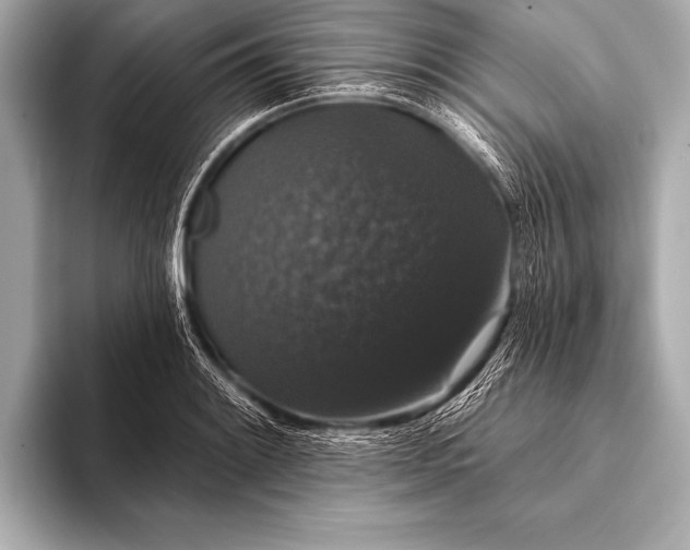 X0000093401084200710260912