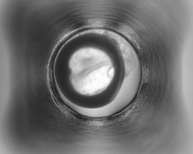 X0000093401086200710260912