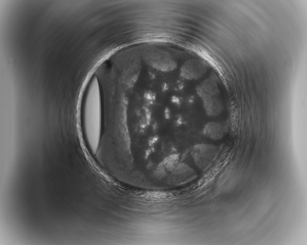 X0000093401088200710260912