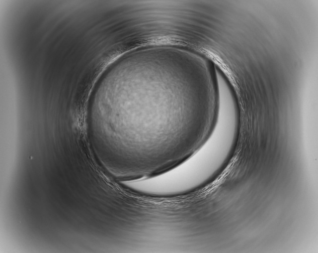 X0000093401089200710260912