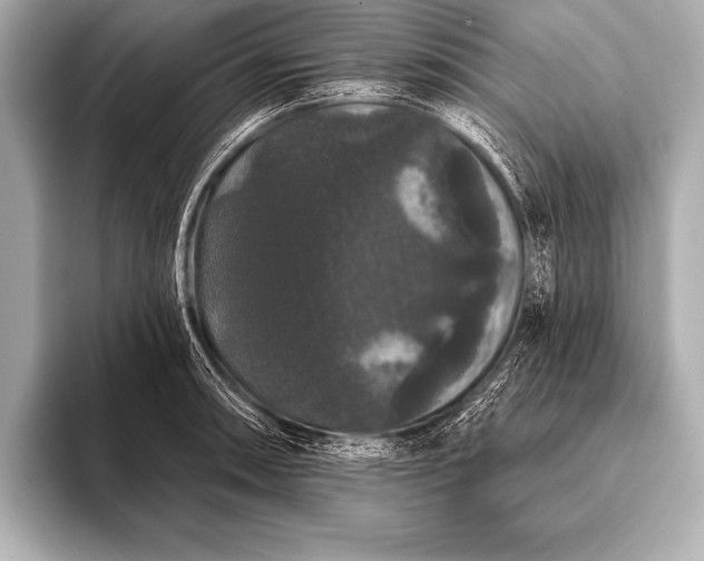 X0000093401090200710260912