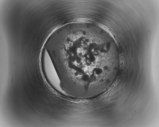 X0000093401091200710260912