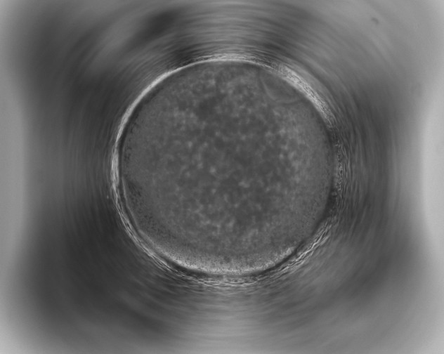 X0000093401092200710260912