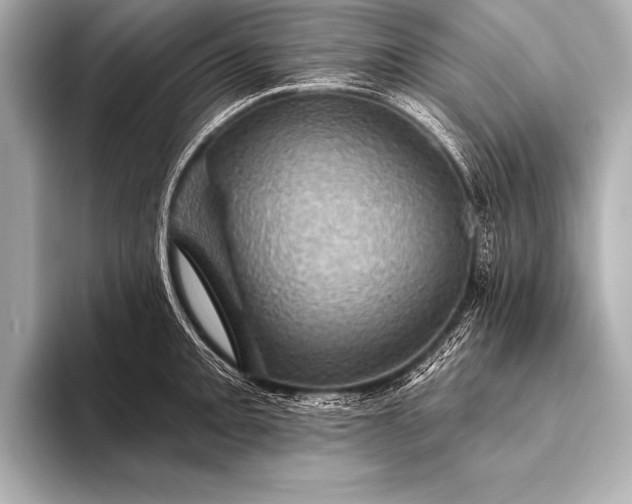 X0000093401093200710260912