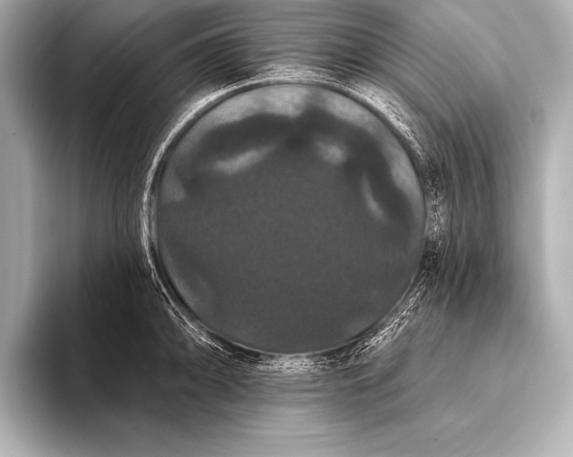 X0000093401094200710260912