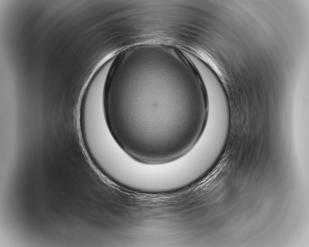 X0000093401095200710260912