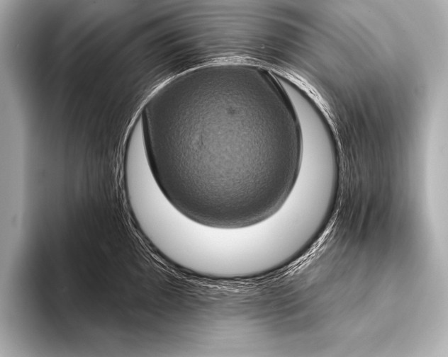 X0000093401097200710260912