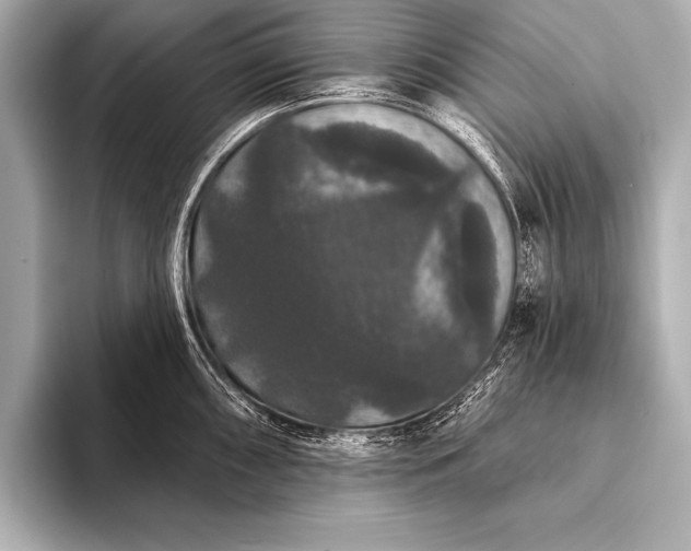 X0000093401098200710260912