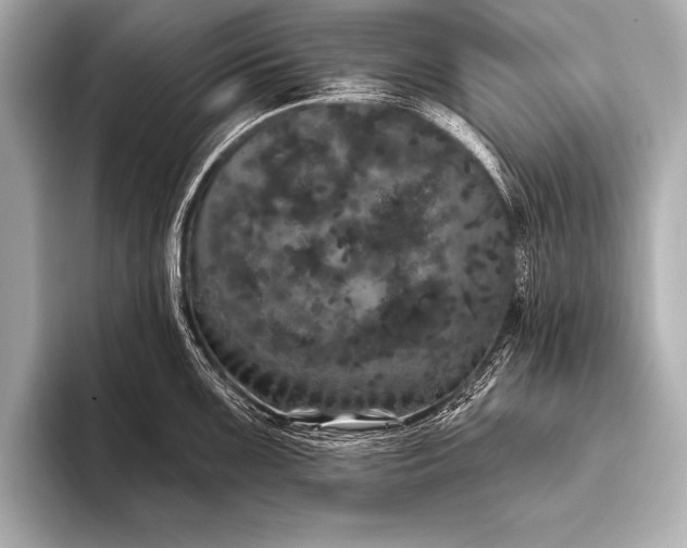 X0000093401099200710260912