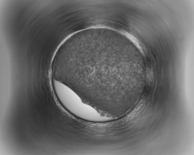 X0000093401100200710260912