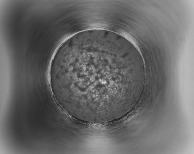 X0000093401104200710260912