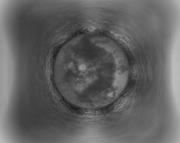 X0000093401105200710260911