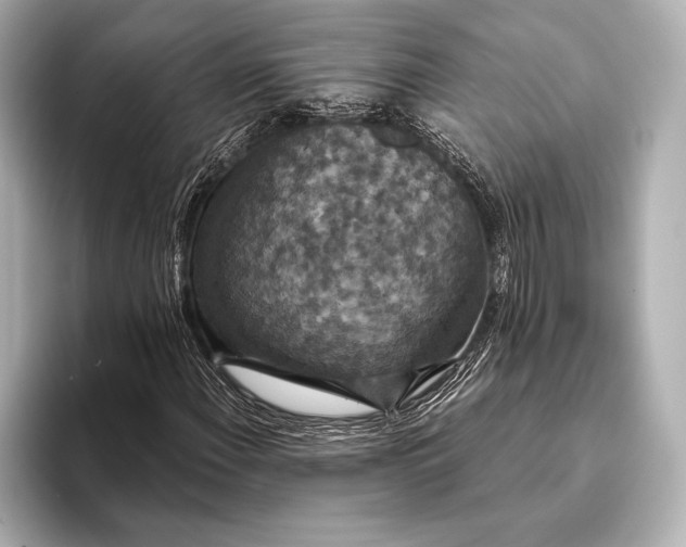 X0000093401108200710260911