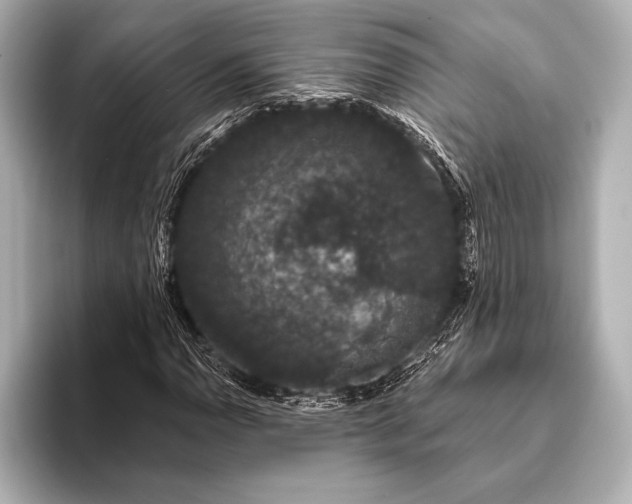 X0000093401110200710260911