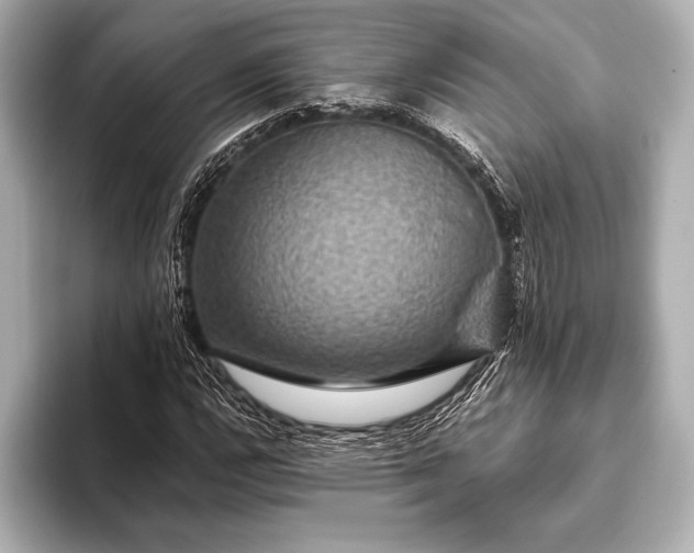 X0000093401112200710260911