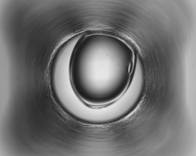 X0000093401114200710260911