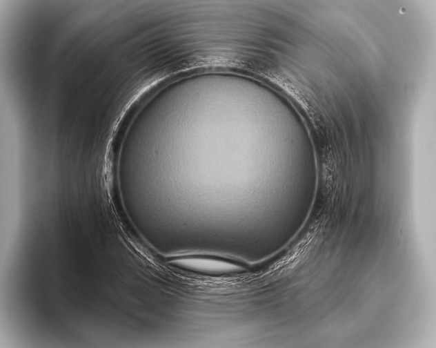 X0000093401119200710260911