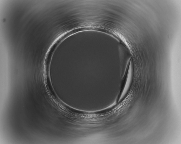 X0000093401120200710260911