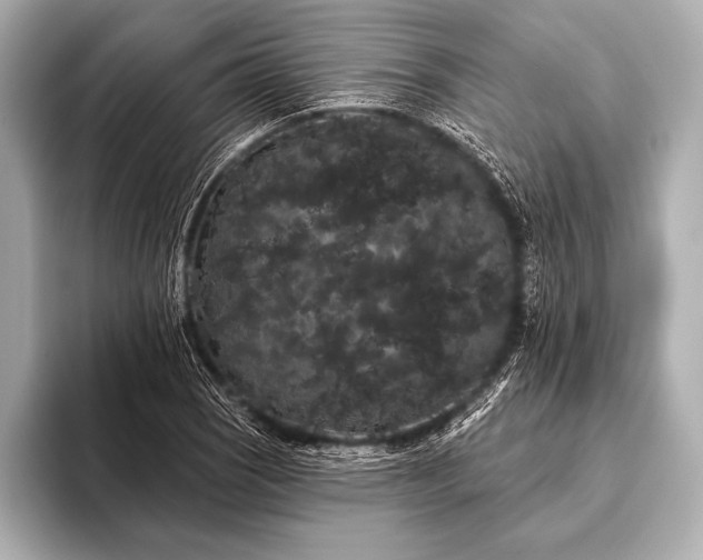 X0000093401121200710260911