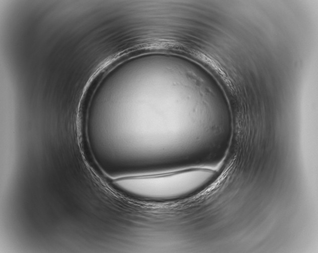 X0000093401122200710260911