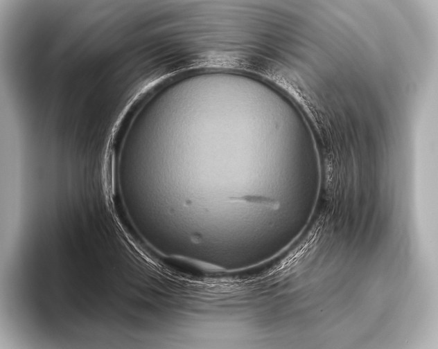 X0000093401123200710260912