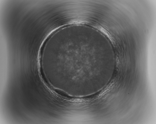 X0000093401124200710260912