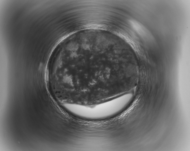 X0000093401125200710260912