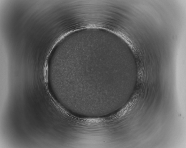 X0000093401126200710260912