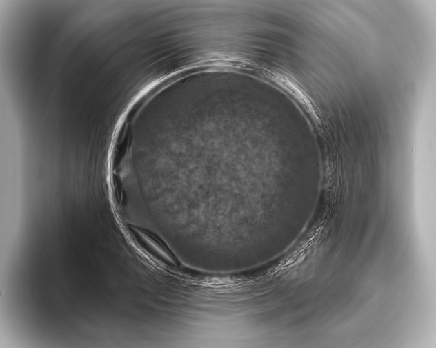 X0000093401128200710260912